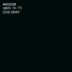 #000E0B - Cod Gray Color Image